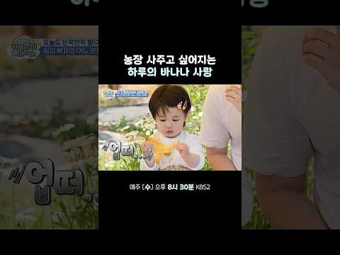 바나나 농장 사주고 싶어지는 귀여움 #슈퍼맨이돌아왔다 #KBS thumbnail