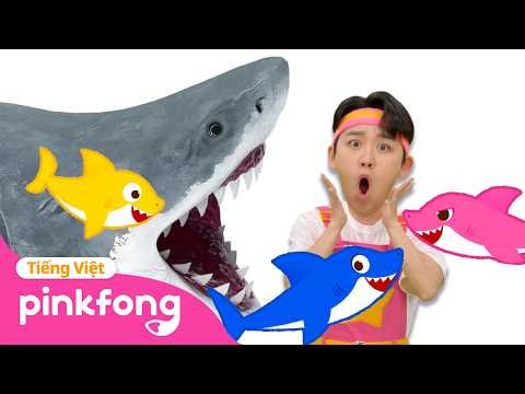 Tuyển tập | Chạy mau! Cá mập kìa! | Cá Mập Con | Baby Shark Pinkfong! - Nhạc thiếu nhi thumbnail