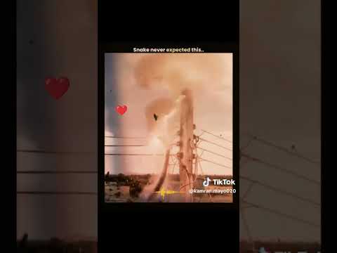 very nice video #nicevideo  #nicevideo thumbnail