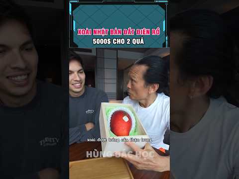 cách nông dân nhật bản tạo ra loại xoài đắt nhất thế giới thumbnail