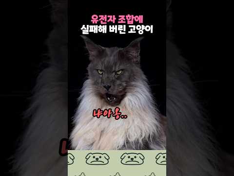 유전자 조합에 실패해 버린 고양이 thumbnail