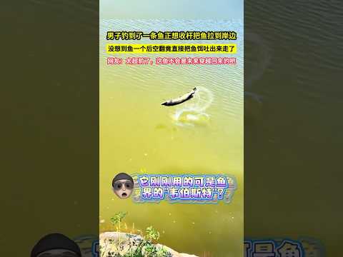 男子釣到了一條魚正想收杆把魚拉到岸邊，沒想到魚一個後空翻竟直接把魚餌吐出來遊走了，網友：太超前了，這魚不會是未來穿越回來的吧！#shorts thumbnail