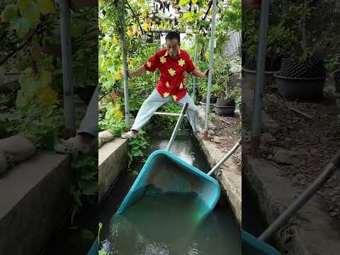 Đừng Sợ Hãi Tôi Sẽ Giúp Bạn Vượt Qua Dung Nham #haongchu thumbnail