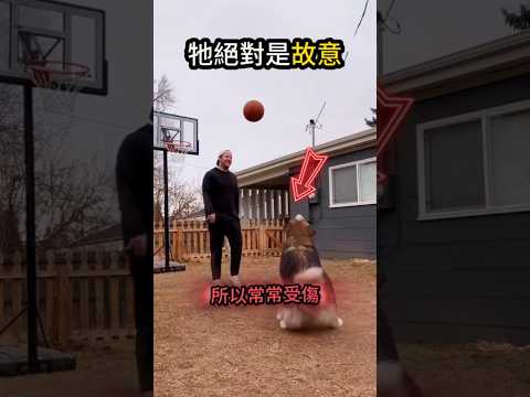 狗狗你那麼準?是故意的吧? thumbnail