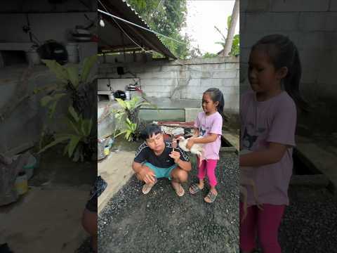 ES KRIM MANG UNI DI MAKAN AYAM thumbnail