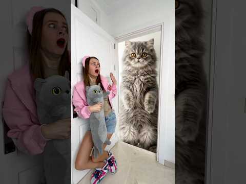 OMG Can Player escape from the Kitten? thumbnail
