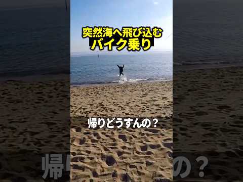 ツーリング先で突然海に飛び込むヤツ  #バイク #ツーリング #motovlog thumbnail