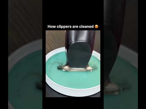 How clippers are cleaned 😍 thumbnail