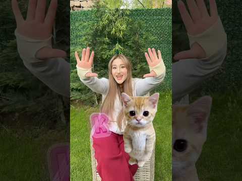 Kızların vs erkeklerin kedilerine koyduğu isimler ￼ thumbnail