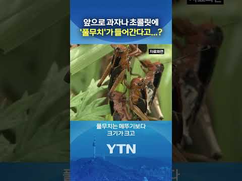 큰일. 풀무치 확대 나옴. (시청주의) #shorts / YTN thumbnail