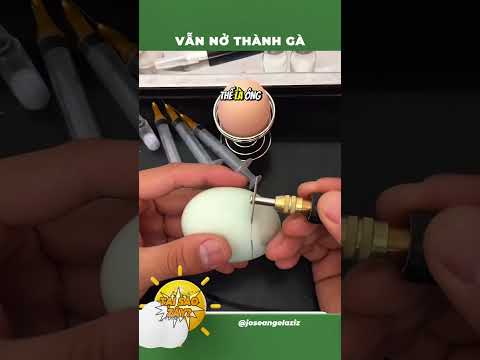 Đập trứng rồi mà vẫn nở thành gà thumbnail