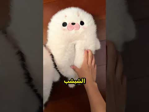 زميلتها في السكن دمّرت شباشبها المفضلة 😅 thumbnail