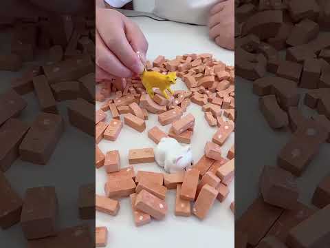 🏗️🐱 Rumah Kucing Super Kuat vs Harimau Buas 🐯💥 #shortvideo thumbnail