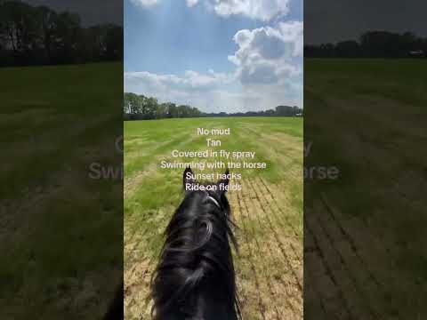 WE MADE IT 😭☀️ #equestrian #horses #horserider #showjumping #dressage #equestrianlife #summer thumbnail