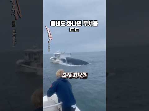 70톤 고래 성질 ㄷㄷ thumbnail