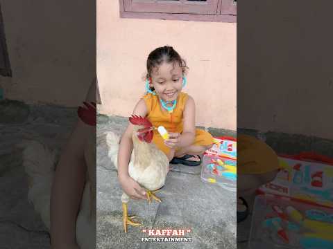 Ayam sakit minum obat ?? #shorts #youtubeshorts #funny thumbnail
