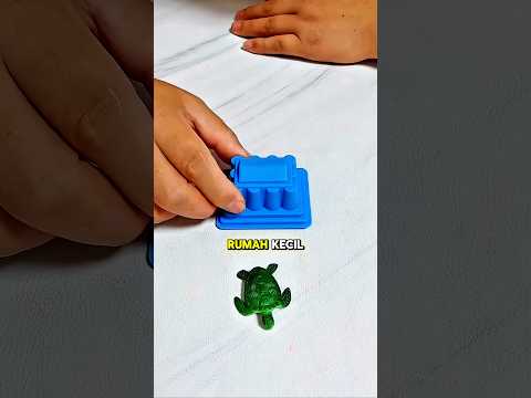 Luna menghancurkan rumah kura-kura kecil | Sebuah alur cerita yang emosional dan lucu??✨ thumbnail