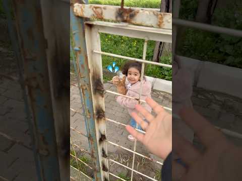 Kedimi alıp kaçtı versene ya😂 #aboneolmayiunutmayin #keşfetbeniöneçıkar #kesfeteyyiz #funny #shorst thumbnail