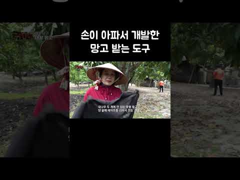 손이 아파서 개발한 망고 받는 도구 #shorts thumbnail