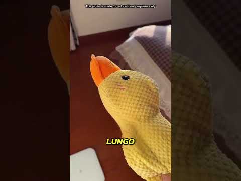 La felicità di questo ragazzo era palpabile ?❤️ thumbnail