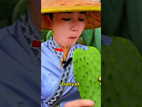 Kenapa Orang Berani Makan Kaktus Berduri? Ternyata Aman Jika Dibersihkan! thumbnail