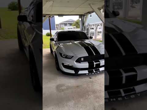 mustang collection ? thumbnail