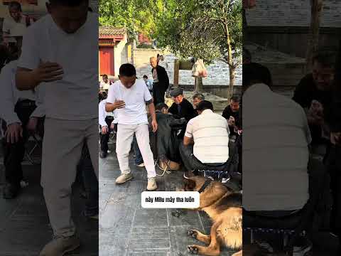 Mất xúc xích thumbnail