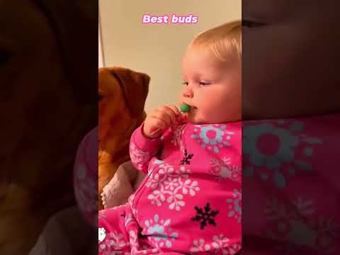 #love #baby thumbnail