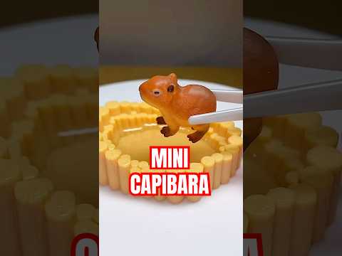 Compré MINI ANIMALES😳🐯 bolita sorpresa! #hellomon #juguetes #abriendojuguetes #minibrands thumbnail