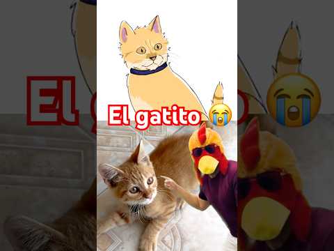 Perdi el Gato 😭🐱 #Minecraft #Short thumbnail