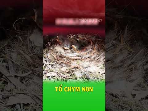 Người tài xế mở cửa xe và phát hiện một gia đình nhỏ thumbnail