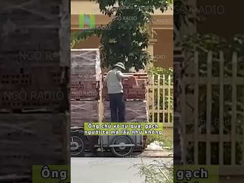 Ông chú vô tư quá, gạch người ta mà lấy như không thumbnail