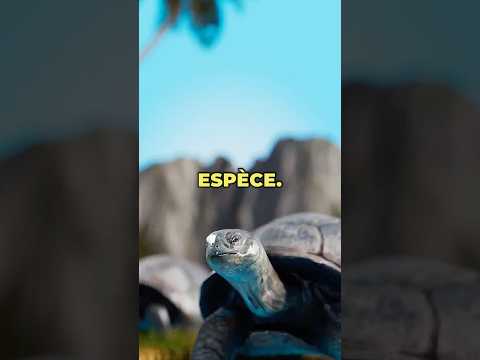 Pourquoi cette espèce n'a pas pu être sauvée 😱 thumbnail