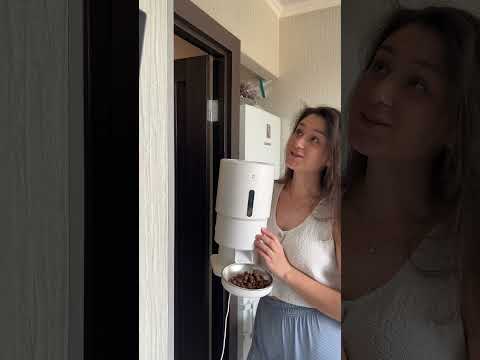 Арт. OZON #1856667731 thumbnail