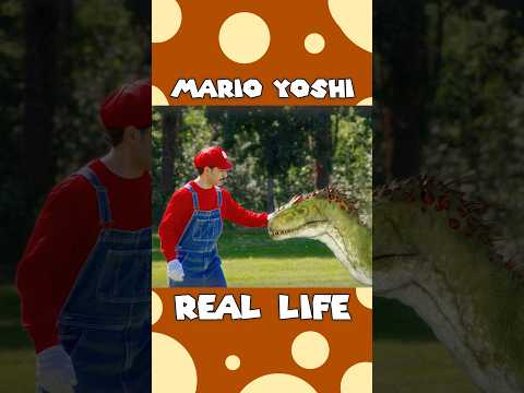 Mario discovers Yoshi plays fetch 😂🦖 #mario #yoshi #reallife thumbnail