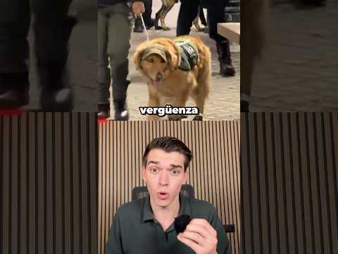Creéis que la MULTA fue JUSTA? thumbnail