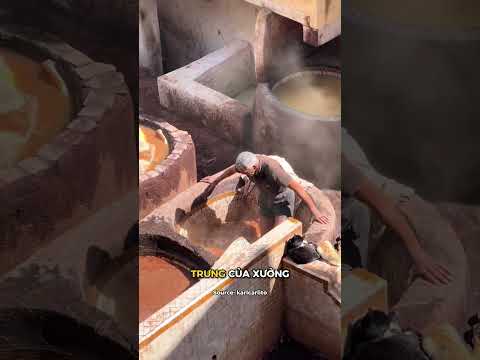 Buộc phải ngửi bạc hà thumbnail