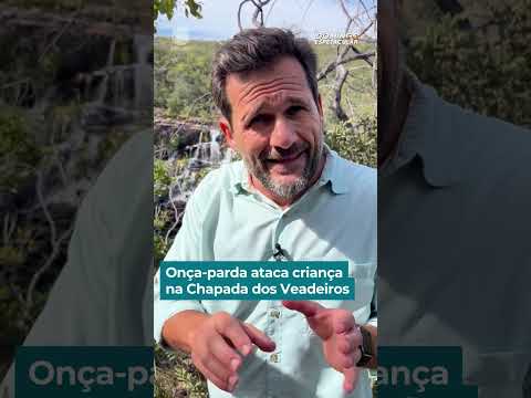 Onça-parda ataca criança na Chapada dos Veadeiros | #DomingoEspetacular #shorts thumbnail