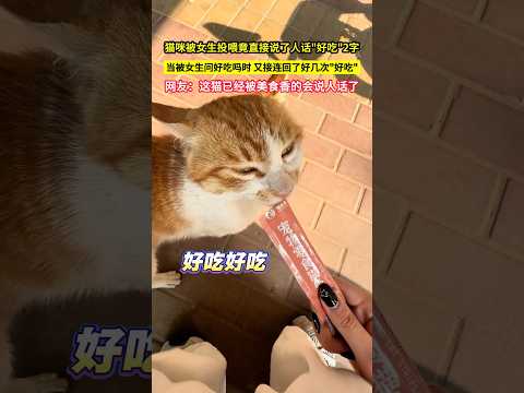 貓咪被女生投餵竟直接說了人話"好吃"2字，當被女生問好吃嗎時，又接連回了好幾次"好吃"，網友：這貓已經被美食香的會說人話了！#shorts#萌宠 #有趣 thumbnail