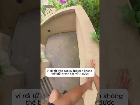 đi tìm vua khỉ trở về thumbnail
