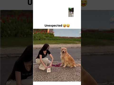 .. thumbnail