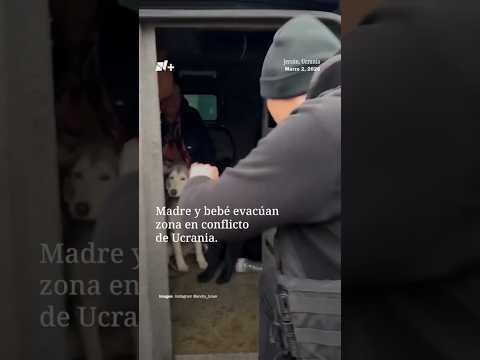 Madre y bebé evacúan zona en conflicto de Ucrania thumbnail