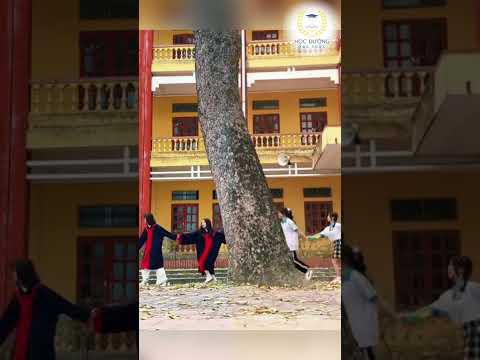 tên cậu đẹp lắm, nhất định phải có trong giấy trúng tuyển nhé thumbnail
