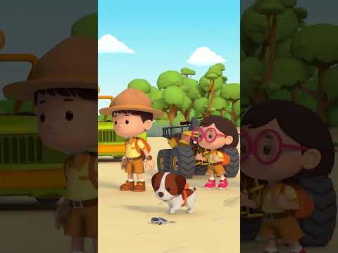 Let's Make Sure the Baby Sea Turtles Reach the Shore! | Leo the Wildlife Ranger #shorts thumbnail