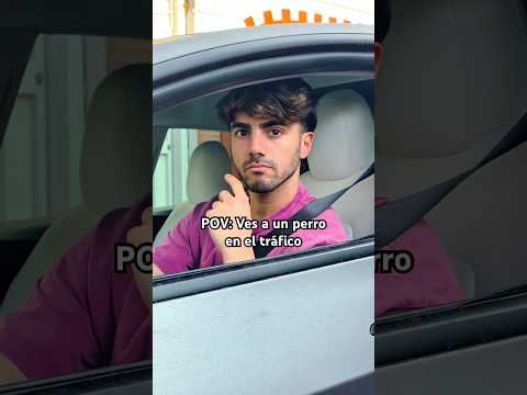Perro malo 😢 thumbnail