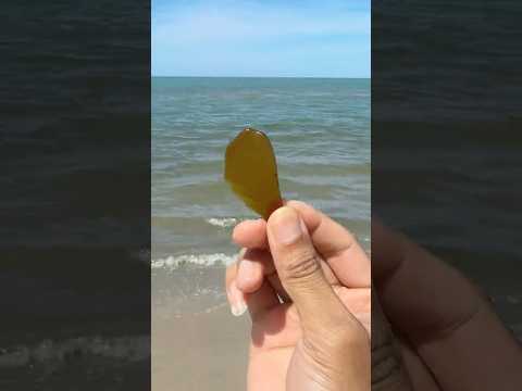 ตามหาต่อ seaglass ??? #ลองดู #seaglass #หายาก #ฝากติดตาม #ช่องยูทูป #พี่นนท์ #เอ็นจอยคับผม #viral thumbnail