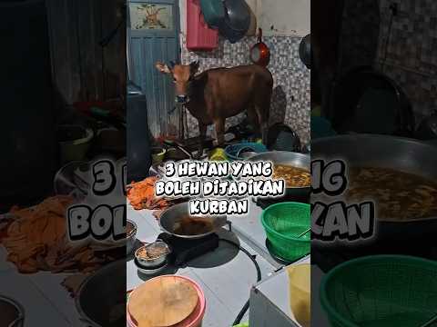 3 Hewan kurban selain Sapi dan Kambing #iduladha2026 #kurban thumbnail