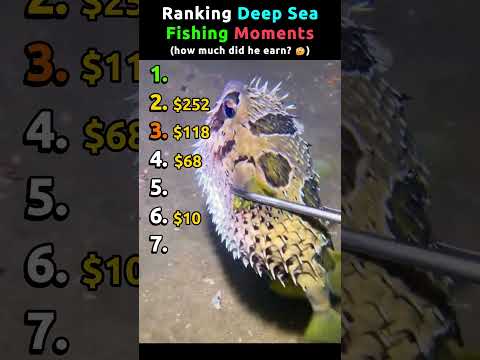 Ranking Deep Sea Fishing Moments Pt.5 | how much did he earn? 🤔 #fishing thumbnail