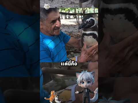 ดินดิมข้ามโลกมาเจอลุง thumbnail