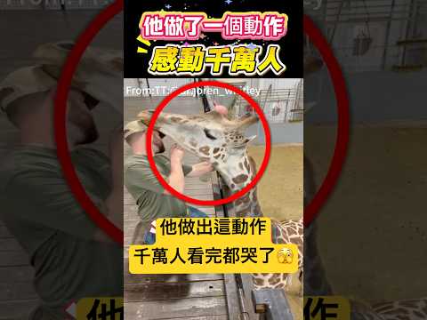他做了一個動作！感動千萬人🫣 #動作 #動物 #shorts 小林Lin’s life thumbnail
